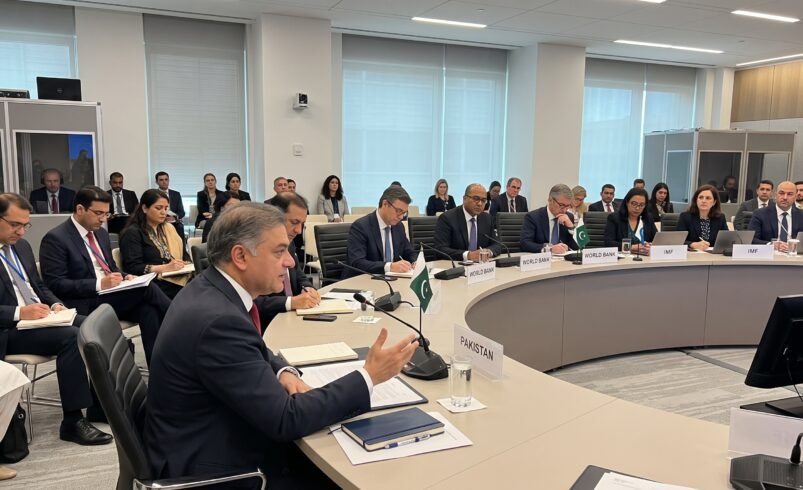 Aurangzeb global financial institutions meetings